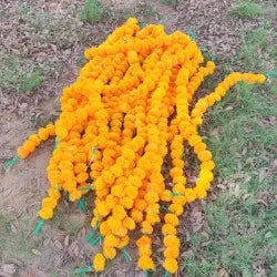 50 Fresh like Artificial Flower Mango Marigold String for events and Party Backdrop Decoration